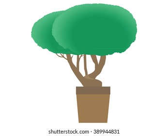 tree in jardiniere