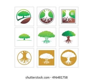 tree jungle forest wood image vector icon set