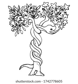 Tree of the knowledge of good and evil. Serpent snake in Eden garden. Biblical Christian symbol. Apple fruit of sin. Hand drawn linear doodle sketch. Black silhouette on white background.