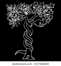 Tree of the knowledge of good and evil. Serpent snake in Eden garden. Biblical Christian symbol. Apple fruit of sin. Hand drawn linear doodle sketch. White silhouette on black.