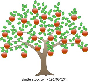 a Tree Laden with Apples