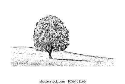 Árbol con el paisaje en la ilustración dibujada a mano del bosquejo en Vector.