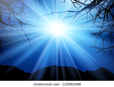 Tree landscape at night with rays of light