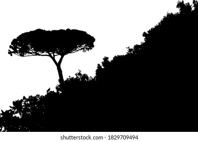 Tree landscape, one tree tilted isolated on the white background