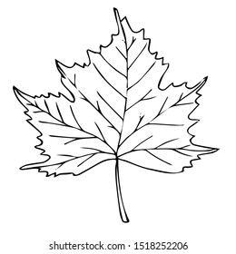 Tree Leaf Black Line Isolated Sketch Stock Vector (Royalty Free ...