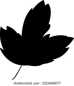 Tree leaf botanical floral decoration silhouette