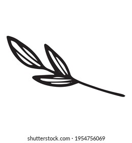 Tree leaf branch icon. Hand drawn and outline illustration of Tree leaf branch vector icon for web design