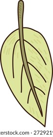 Dibujos animados de hojas de árbol con contorno en negrita, hoja única, vena central y textura dibujada a mano sobre fondo limpio. Símbolo de la naturaleza, el eco, el crecimiento, la frescura y la Renovación. Ilustración vectorial de dibujos animados.