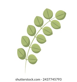 Tree leaf colored icon Vector illustration