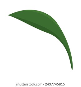 Tree leaf colored icon Vector illustration