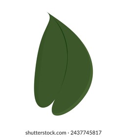 Tree leaf colored icon Vector illustration
