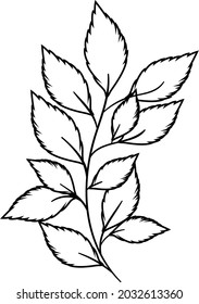 Tree leaf coloring vector art and illustration