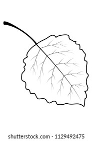 tree leaf contour nature vector