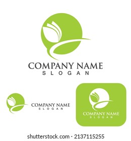  Tree leaf ecology Logos of green vector