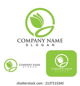  Ecología de hoja de árbol Logotipos de vector verde