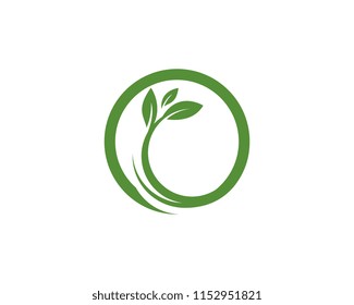 Tree leaf ecology nature element 