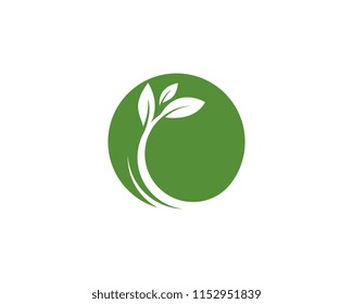 Tree leaf ecology nature element 