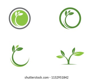 Tree leaf ecology nature element 