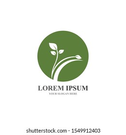  Tree leaf ecology nature element vector