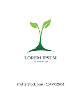  Tree leaf ecology nature element vector