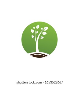  Tree leaf ecology nature element vector