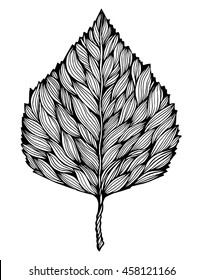 Tree leaf. Fallen leaf. Stylized leaf poplar. Line art. Black and white drawing by hand. Graphic arts. Doodle. Tattoo.
