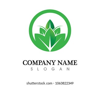 Tree leaf and green  vector logo  nature design, ecology friendly concept fresh plant and label business corporate design

