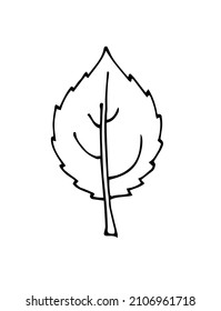 Hoja de árbol. Esbozo de dibujo manual. Esbozo aislado en un fondo blanco. Vector.