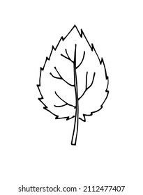 Tree leaf. Hand drawing outline. Sketch isolated on a white background. Vector.