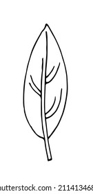 Tree leaf. Hand drawing outline. Sketch isolated on a white background. Vector.