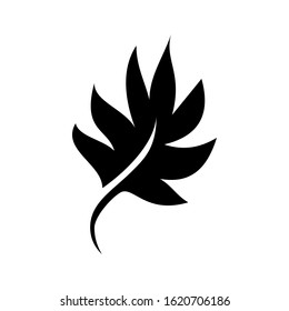 Tree leaf icon isolated on white background. Vector illustration. EPS10. 