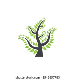 Tree leaf  icon vector design