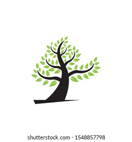 Tree leaf  icon vector design