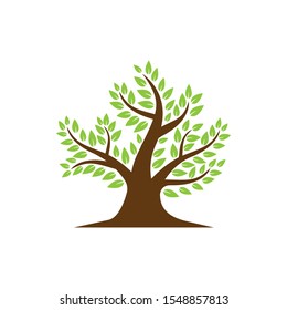 Tree leaf  icon vector design