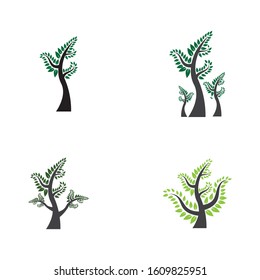 Tree leaf  icon vector design