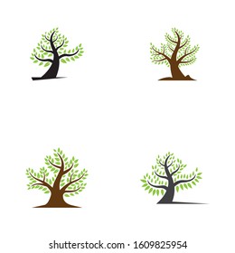 Tree leaf  icon vector design