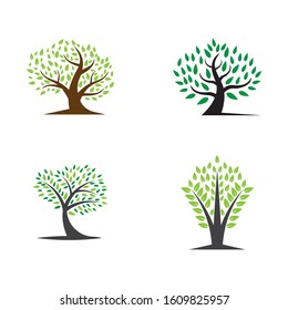Tree leaf  icon vector design