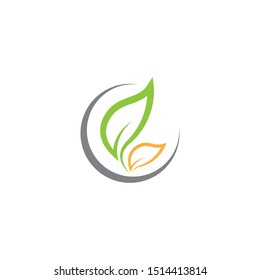 Tree leaf icon vector illustration