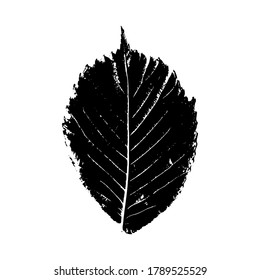 Tree leaf imprint. Isolated silhouettes of leaves. Botanical vector illustration. Suitable for design, pattern, postcards, prints.