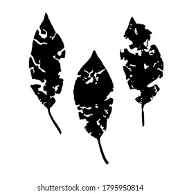 Tree leaf imprint set. Isolated silhouettes of leaves. Botanical vector illustration. Suitable for design, pattern, postcards, prints.