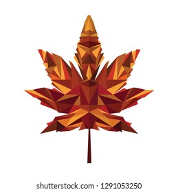 Tree leaf isolated on white 4