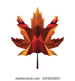 Tree leaf isolated on white 5