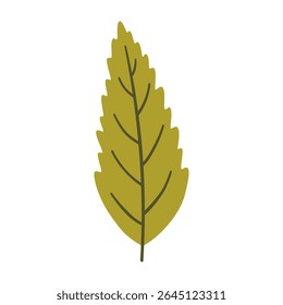 Tree leaf in light green color. One element isolated on white. Spring or summer background, vector illustration