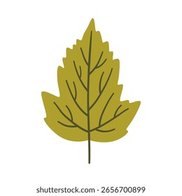 Tree leaf in light green color. One element isolated on white. Spring or summer botanical background, vector illustration