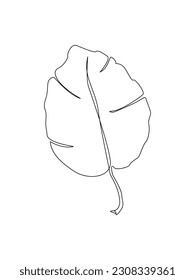 Tree leaf line art. Tropical leaf one line drawing.Continuous line drawing of tropical palm leaf.Single one line exotic palm leaf .Leaves outline sketch.