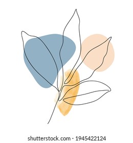 Tree Leaf line arts frame cover collection. Minimalistic modern line art  Tropical leaves with abstract shape background for print, beauty and fashion. vector illustration.