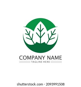 tree leaf logo design vector of green Tree leaf ecology nature element illustration