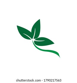 tree leaf logo icon on white
