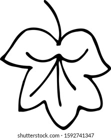 tree leaf on a white background vector in the style of doodling