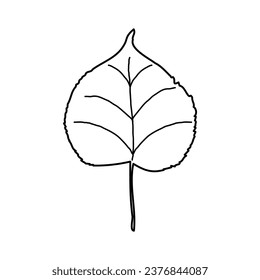 A tree leaf on white background. Vector illustration of a hand drawn plant.